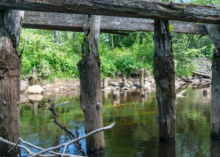 landscape with a small forest river, old bridge site, old wooden logs in the water, low river calm,...
