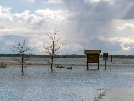 landscape with flooded lake in spring, beach covered with waterの写真素材