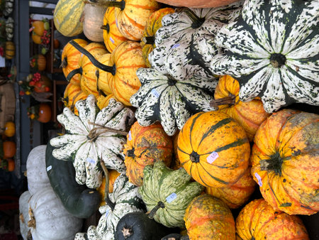 Colorful pumpkins on display at a farmers market in California.
