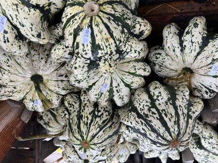 Pumpkin for sale at the market in the city of Chiang Rai in North Thailand.の写真素材