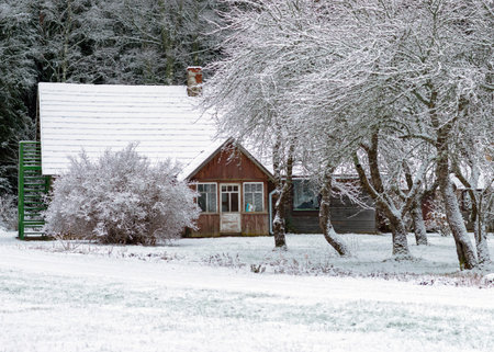 winter landscape with snowy land in the foreground, trees and fields covered with snow, winter dayの写真素材