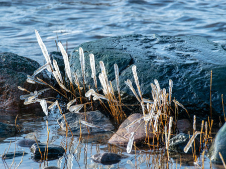 the sea and the wind have formed abstract formations of frozen dry reed, icicles fragments on a blurred backgroundの写真素材