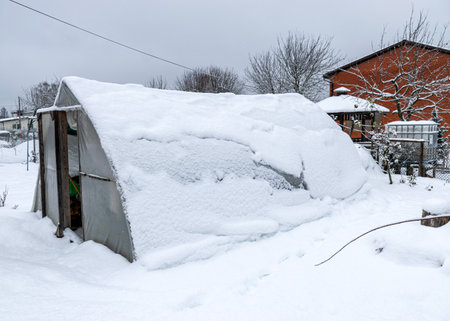 snowy greenhouse with snow, winter day, garden in winter