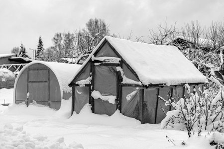 garden in winter, greenhouse covered with snow, trees, garden house and garden accessories, small garden in winterの写真素材