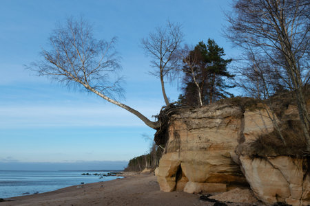 natural landscape with sandstone cliffs, bare ice, sand and ice formations, Veczemju cliffs, Latviaの写真素材