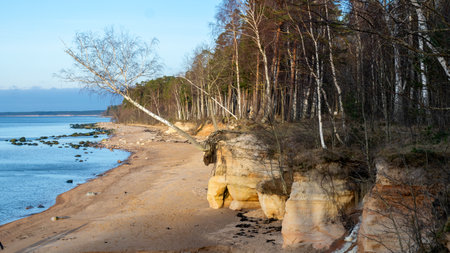 natural landscape with sandstone cliffs, bare ice, sand and ice formations, Veczemju cliffs, Latviaの写真素材
