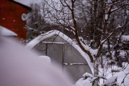 garden in winter, greenhouse covered with snow, trees, garden house and garden accessoriesの写真素材