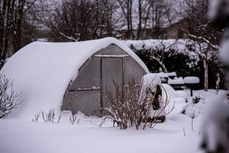 garden in winter, greenhouse covered with snow, trees, garden house and garden accessoriesの写真素材