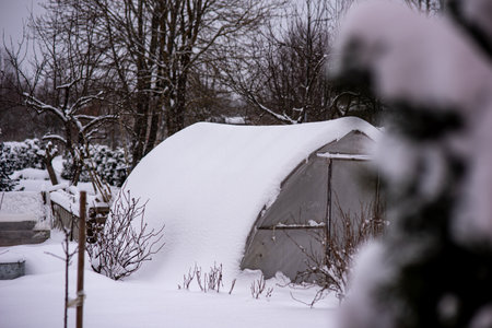garden in winter, greenhouse covered with snow, trees, garden house and garden accessoriesの写真素材