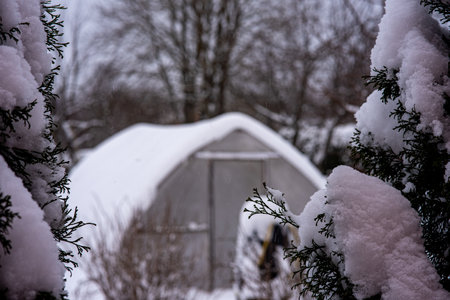 garden in winter, greenhouse covered with snow, trees, garden house and garden accessoriesの写真素材