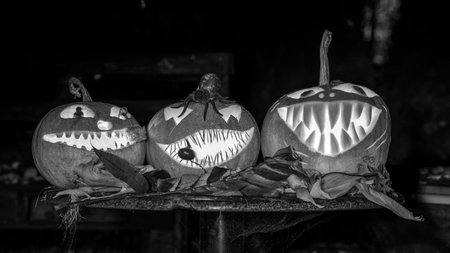 black and white decorated halloween pumpkins, holiday concept, halloween interior, home decorの写真素材