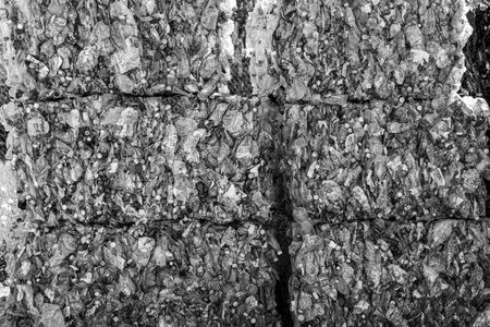 black and white photo, compressed metal cans at a waste collection point, recycling, black and white photoの写真素材