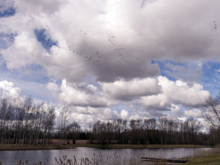 landscape with a small pond, the wind blows water, beautiful cumulus clouds in the skyの写真素材