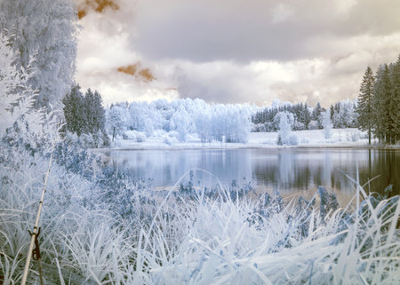 abstract landscape photographed with infrared filter, trees look like in winter, beautiful cloud reflections in the water, surreal landscapeの写真素材