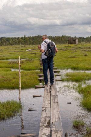 landscape in the summer swamp. a man in a white shirt walks along a wooden footbridge. bog background and vegetationの写真素材