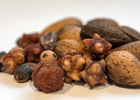 still life with various dry seeds and nuts, white background