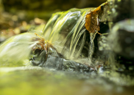 a small rapid river flows through dolomite rocks, long-term exposure, gentle and fuzzy river water, colorful autumn leaves and dry branches in the riverの写真素材