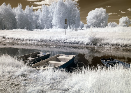 sunny summer landscape, infrared photo snowy tree amazing nature lake reflection, unusual surreal view, infrared photographyの写真素材
