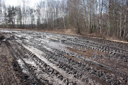 spring landscape with muddy swamp, forest road, spring, dirty wet road texture, springの写真素材
