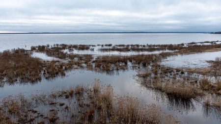 landscape with a flooded lake, flooded lake shore, flooded meadows in spring, spring landscape, Lake Burtnieku, Latviaの写真素材