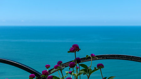 wide landscape with fields, sky, water, hills, summerの写真素材