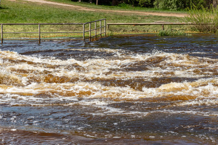 landscape with a fast river, the river has overflowed its banks, the first green of spring, Aiviekste river near Lake Lubana, Latviaの写真素材
