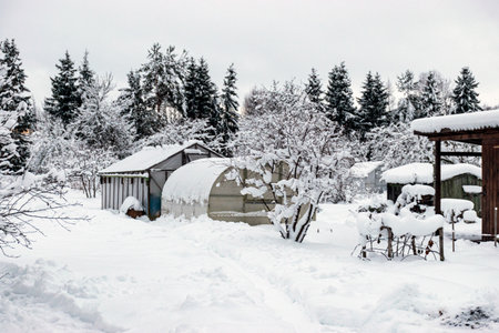 garden in winter, greenhouse covered with snow, trees, garden house and garden accessories, small...