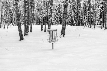 disc golf park, snow covered trees and tree branches, winter day, snow covered disc golf cartの写真素材