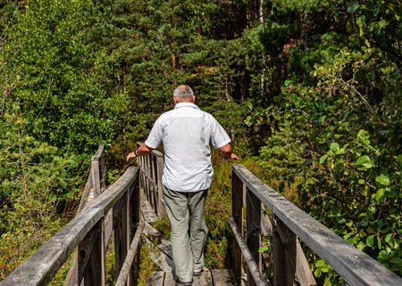 wooden footbridge in the bog, a man walks in the bog, traditional bog vegetation, Nigula nature reserve is Nigula bog, a typical western Estonian bog, autumnの写真素材
