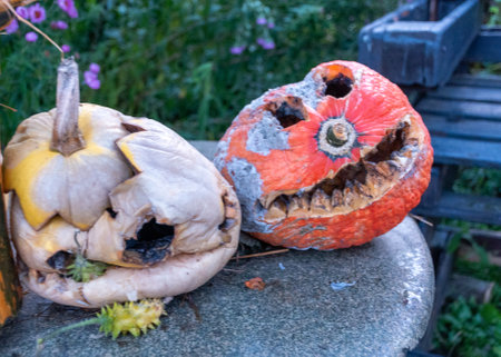 beautiful Halloween pumpkin, carved pumpkin for Halloween celebration, autumnの写真素材