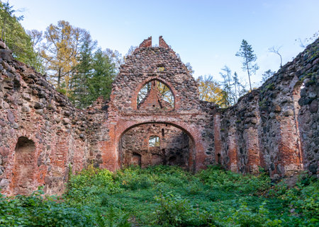 landscape with old church ruins, ruins overgrown with bushes and grass, autumn time, Ergeme Evangelical Lutheran Church was one of the most beautiful churches in Latvia, Latviaの写真素材