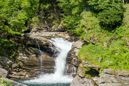 magnificent mountain landscape, majestic cliffs, mountain river waterfall, meadow vegetation, Swiss Alps, Summerの写真素材