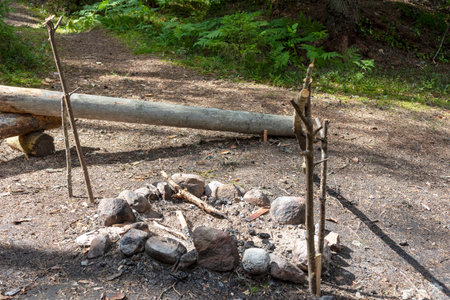 landscape with a campfire in the forest, nature relaxation concept, summerの写真素材