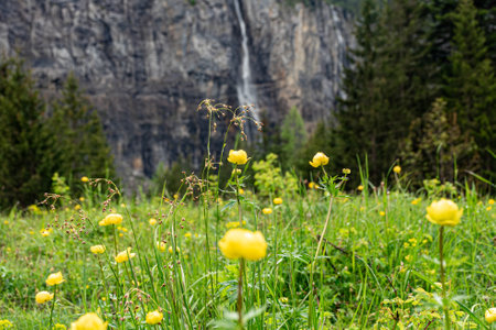 magnificent mountain landscape, majestic cliffs, mountain river waterfall, meadow vegetation, Swiss Alps, Summerの写真素材