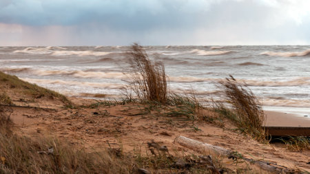dramatic storm in the Baltic Sea, large waves crashing against the shore, blurred, unclear contours,...