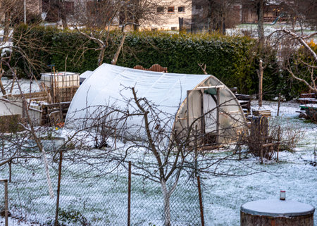 landscape with a simple wooden greenhouse, beautiful light on a winter day, film greenhouse in winterの写真素材
