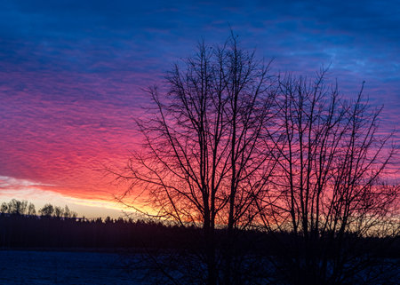 colorful sunrise sky outside the window, colorful play of light, shadows and reflections on the window glass, blurred outlines, winterの写真素材