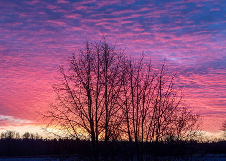 outside the window colorful sunrise sky, colorful play of light, shadows and reflections on the window glass, explosion of colors, winterの写真素材