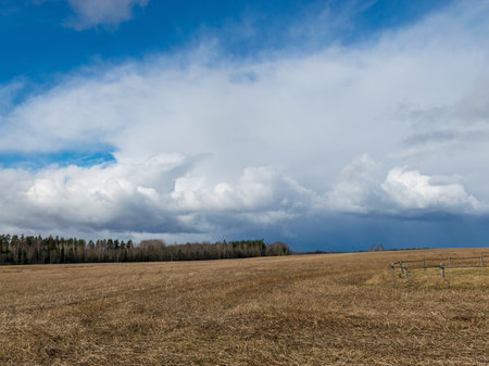agricultural fields with fresh stubble after harvesting, beautiful cloudの写真素材