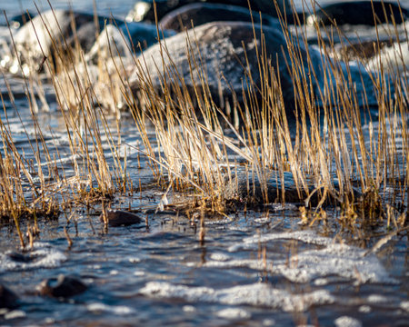 winter landscape with the seashore, windy winter day, frozen ice formations, Baltic Sea, Latviaの写真素材