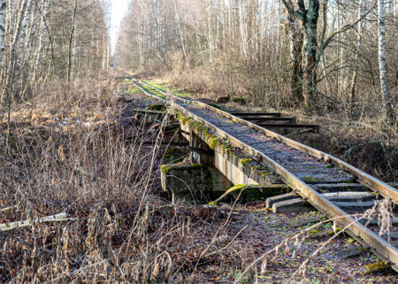 landscape with railway tracks, train tracks in a swamp, Sedas swamp, Latvia, winterの写真素材
