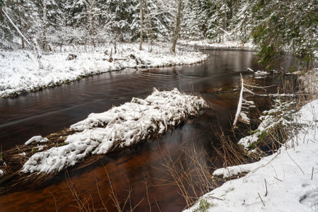 winter landscape with a small, wild wild river, long exposure, blurred water, snow-covered trees on the riverbank, Strikupe, Vaidava, Latviaの写真素材