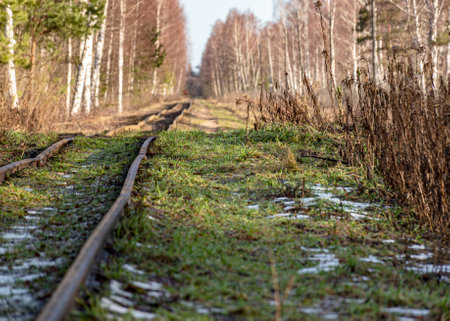 landscape with railway tracks, train tracks in a swamp, Sedas swamp, Latvia, winterの写真素材