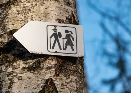 road signs indicating the direction of a pedestrian path, signposts in a swamp, Sedas swamp path,...