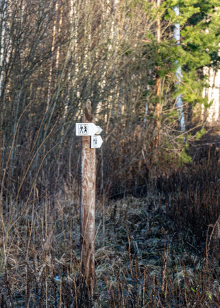 road signs indicating the direction of a pedestrian path, signposts in a swamp, Sedas swamp path, Latviaの写真素材