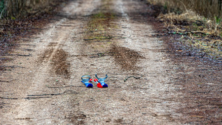 winter landscape without snow, lonely country road with trees on the side of the road, blue children's skis on the road, winterの写真素材