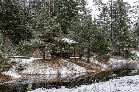 winter landscape with a lake, magical snow-covered trees and reflections in the lake, a gorgeous winter dayの写真素材