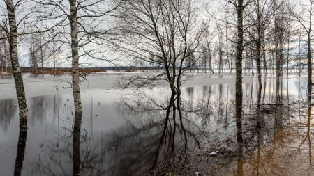 latvian winter landscape with flooded lake, thin and light ice in places, reflections, Burtnieki Lake, Latviaの写真素材