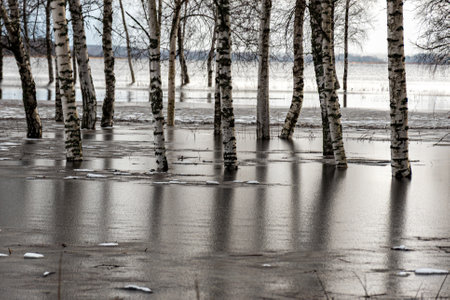latvian winter landscape with flooded lake, thin and light ice in places, reflections, Burtnieki Lake, Latviaの写真素材