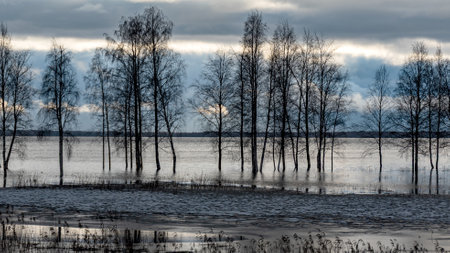 latvian winter landscape with flooded lake, thin and light ice in places, reflections, Burtnieki...